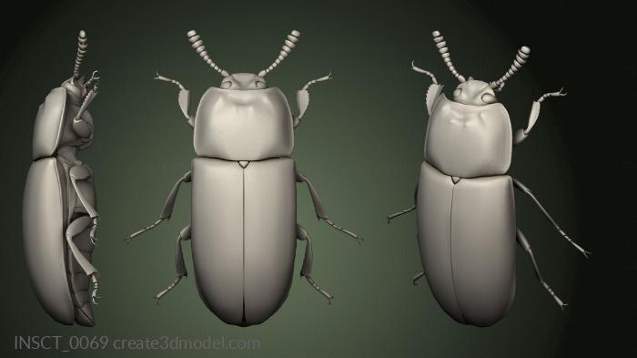 Insects (INSCT_0069) 3D model for CNC machine