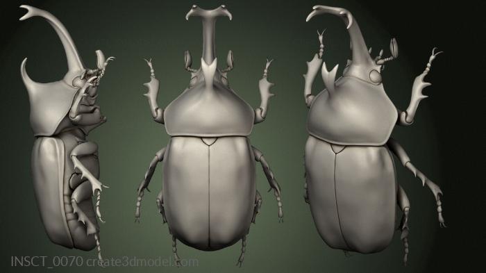 Insects (INSCT_0070) 3D model for CNC machine