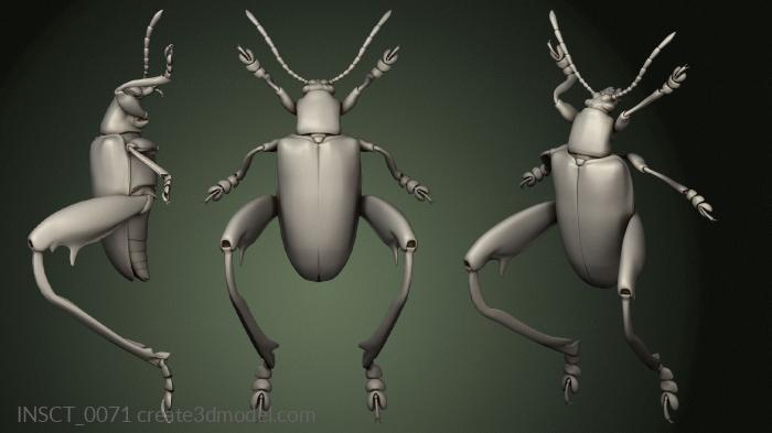 Insects (INSCT_0071) 3D model for CNC machine