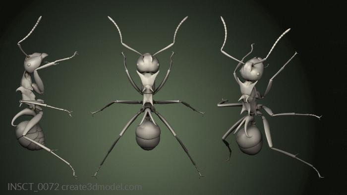 Insects (INSCT_0072) 3D model for CNC machine