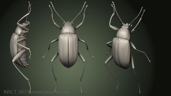 Insects (INSCT_0073) 3D model for CNC machine