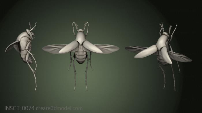 Insects (INSCT_0074) 3D model for CNC machine