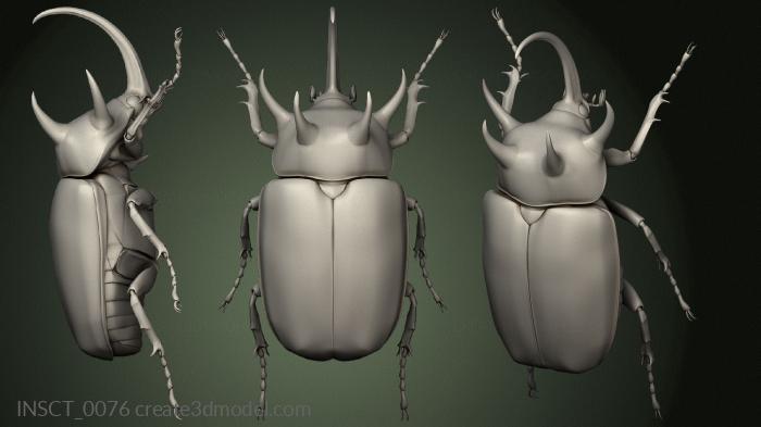 Insects (INSCT_0076) 3D model for CNC machine
