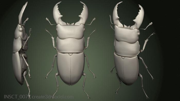 Insects (INSCT_0077) 3D model for CNC machine