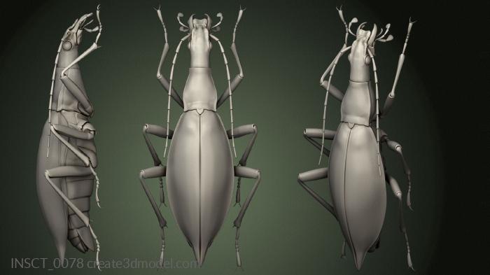 Insects (INSCT_0078) 3D model for CNC machine