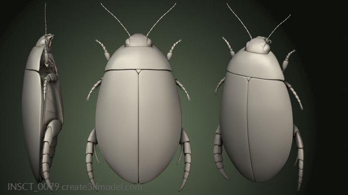 Insects (INSCT_0079) 3D model for CNC machine