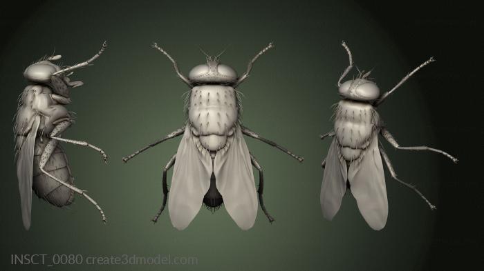 Insects (INSCT_0080) 3D model for CNC machine