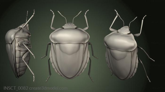 Insects (INSCT_0082) 3D model for CNC machine