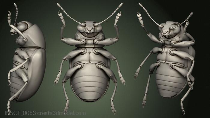 Insects (INSCT_0083) 3D model for CNC machine