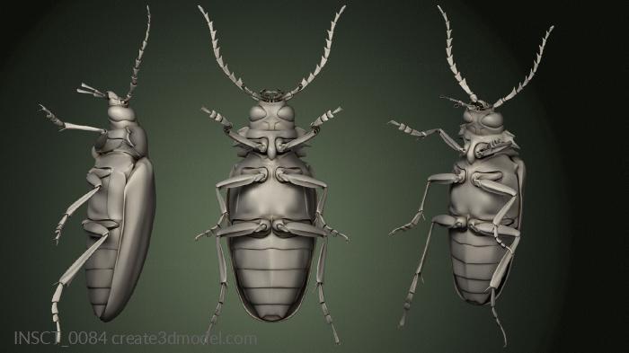Insects (INSCT_0084) 3D model for CNC machine