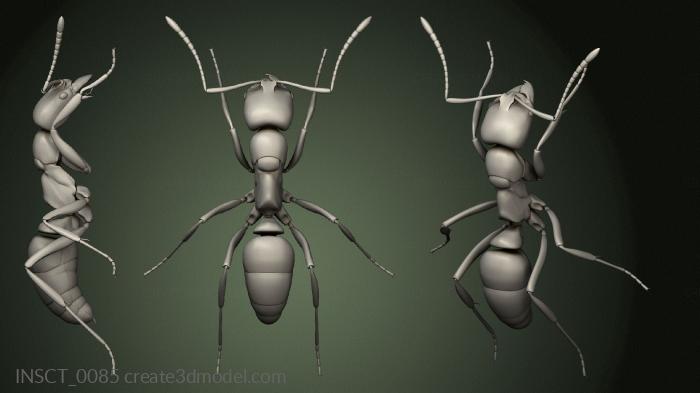Insects (INSCT_0085) 3D model for CNC machine
