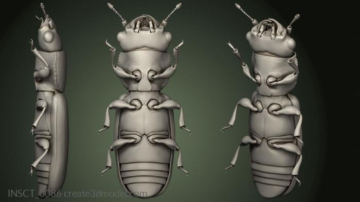 Insects (INSCT_0086) 3D model for CNC machine