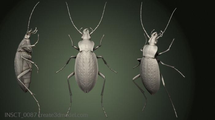 Insects (INSCT_0087) 3D model for CNC machine