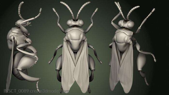 Insects (INSCT_0089) 3D model for CNC machine