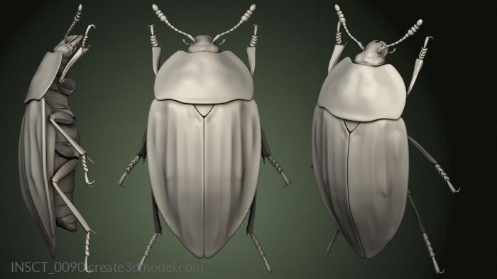 Insects (INSCT_0090) 3D model for CNC machine
