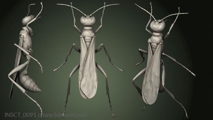 Insects (INSCT_0091) 3D model for CNC machine