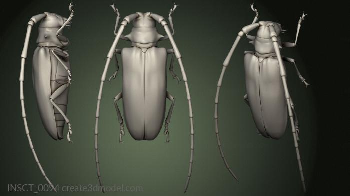 Insects (INSCT_0094) 3D model for CNC machine