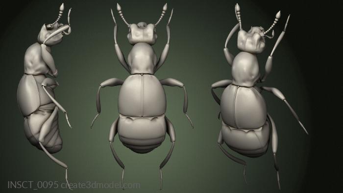 Insects (INSCT_0095) 3D model for CNC machine