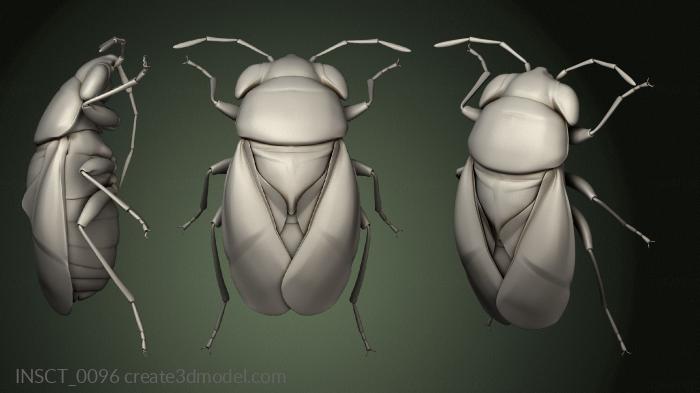 Insects (INSCT_0096) 3D model for CNC machine