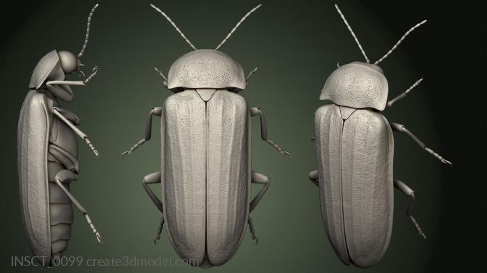 Insects (INSCT_0099) 3D model for CNC machine