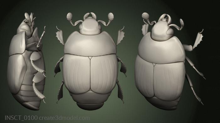 Insects (INSCT_0100) 3D model for CNC machine
