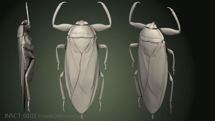 Insects (INSCT_0101) 3D model for CNC machine