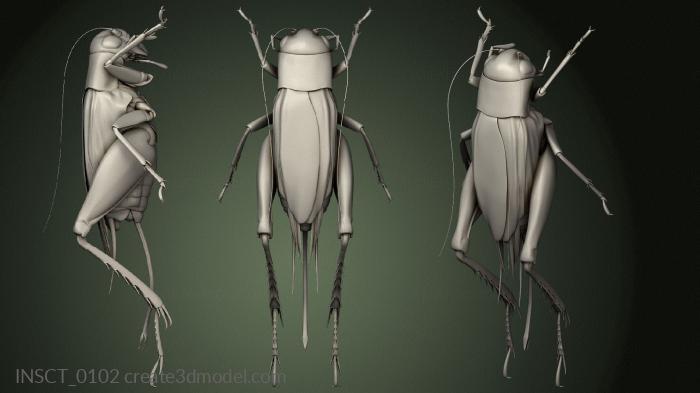 Insects (INSCT_0102) 3D model for CNC machine