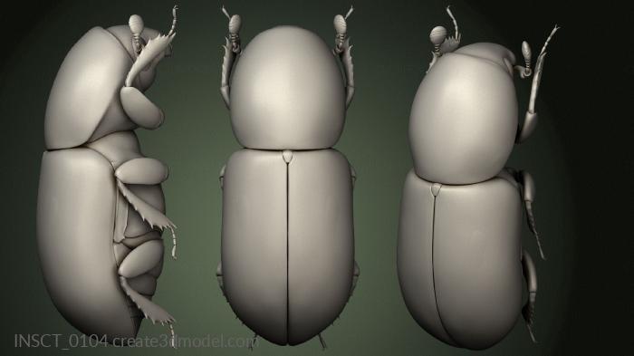 Insects (INSCT_0104) 3D model for CNC machine