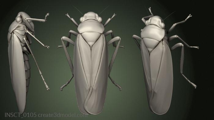 Insects (INSCT_0105) 3D model for CNC machine