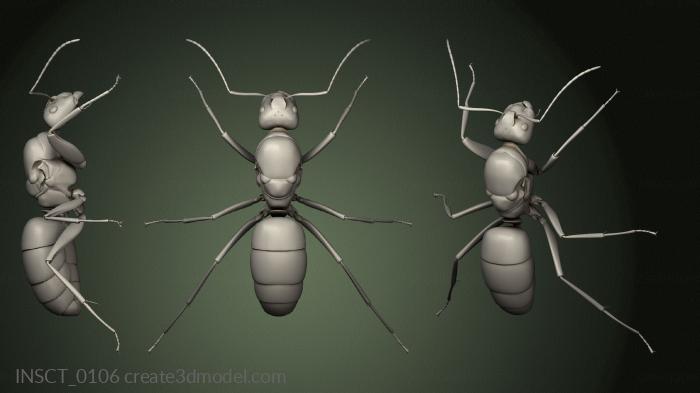 Insects (INSCT_0106) 3D model for CNC machine