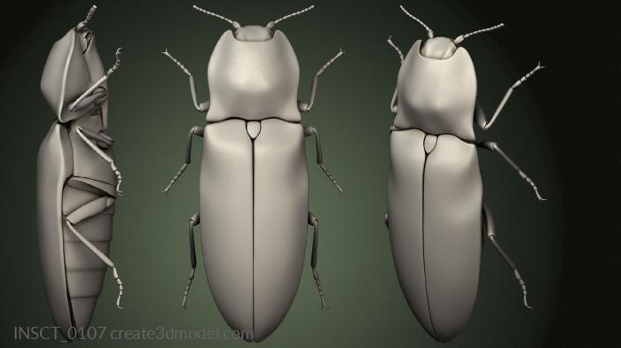 Insects (INSCT_0107) 3D model for CNC machine
