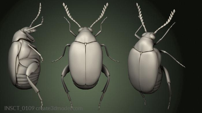 Insects (INSCT_0109) 3D model for CNC machine
