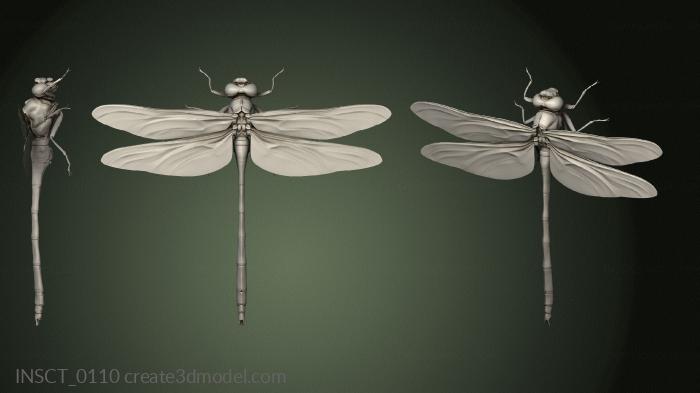 Insects (INSCT_0110) 3D model for CNC machine