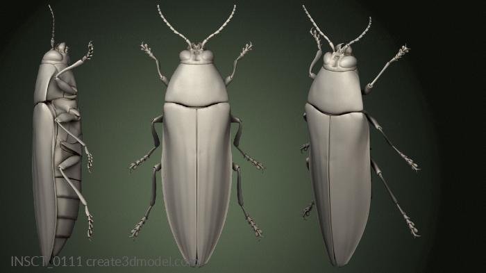 Insects (INSCT_0111) 3D model for CNC machine