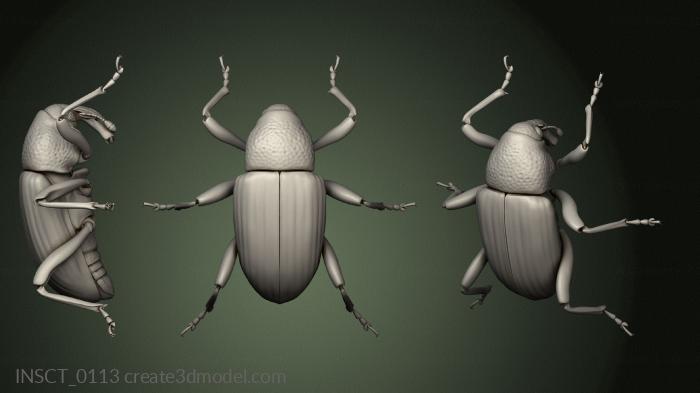 Insects (INSCT_0113) 3D model for CNC machine