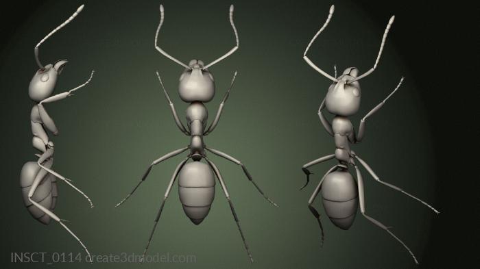 Insects (INSCT_0114) 3D model for CNC machine