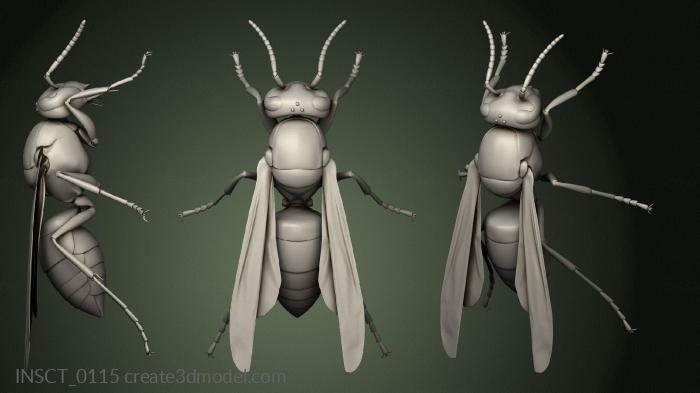 Insects (INSCT_0115) 3D model for CNC machine