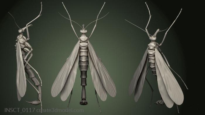 Insects (INSCT_0117) 3D model for CNC machine