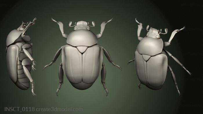 Insects (INSCT_0118) 3D model for CNC machine