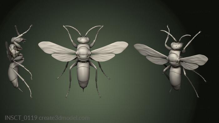 Insects (INSCT_0119) 3D model for CNC machine