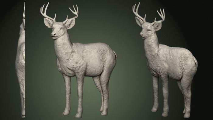 Animals (JV_0155) 3D model for CNC machine