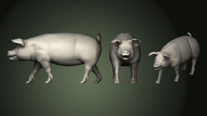 Animals (JV_0181) 3D model for CNC machine