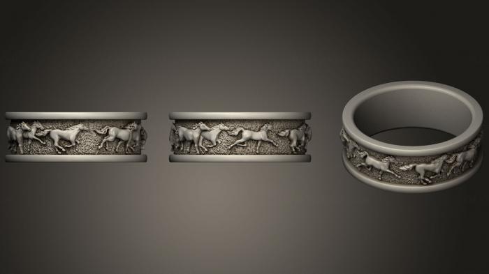 Jewelry rings (JVLRP_0894) 3D model for CNC machine
