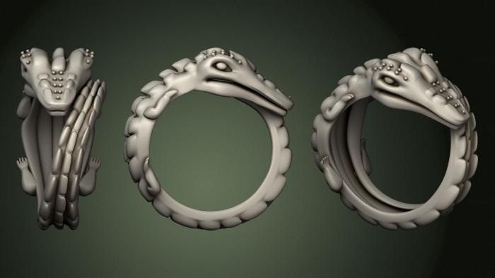 Jewelry rings (JVLRP_0995) 3D model for CNC machine