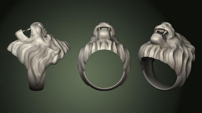 Jewelry rings (JVLRP_1026) 3D model for CNC machine