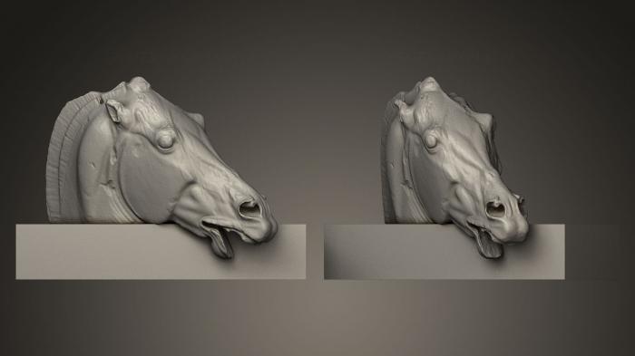 Masks and muzzles of animals (MSKJ_0024) 3D model for CNC machine