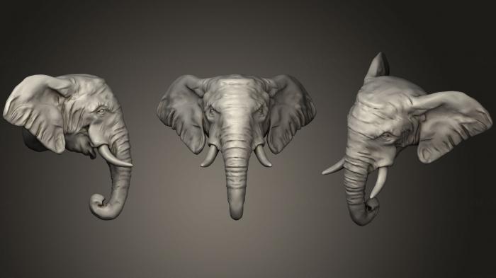نموذج ثلاثي الأبعاد لآلة CNC أقنعة وكمامات الحيوانات رأس الفيل الأفريقي بولي منخفض