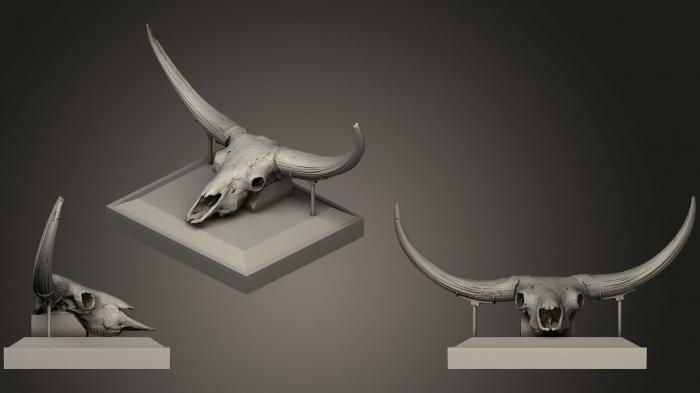 Masks and muzzles of animals (MSKJ_0159) 3D model for CNC machine