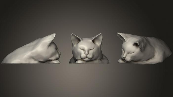 Masks and muzzles of animals (MSKJ_0167) 3D model for CNC machine