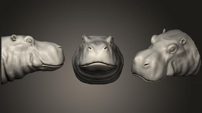 Masks and muzzles of animals (MSKJ_0203) 3D model for CNC machine